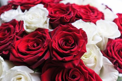 黄玫瑰之约 典雅花卉的营销魅力