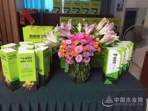 共谋发展，鹏森缘柳州客户交谈会盛大举行，礼品花卉销售迎春绽放