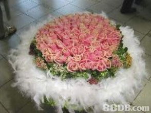 怡丰礼品设计花廊 以花为礼，传递每一份美好心意